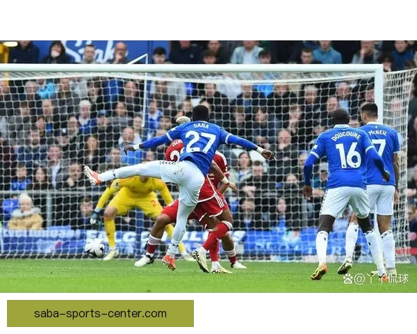 詹姆斯塔尔科夫斯基引领埃弗顿走向辉煌赢得球迷热爱